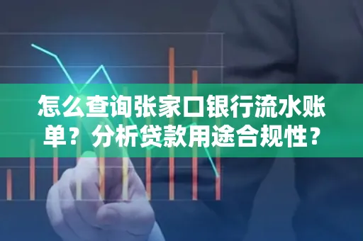 怎么查询张家口银行流水账单？分析贷款用途合规性？